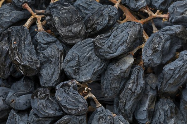 Comment participer à des vendanges en France sans frais?