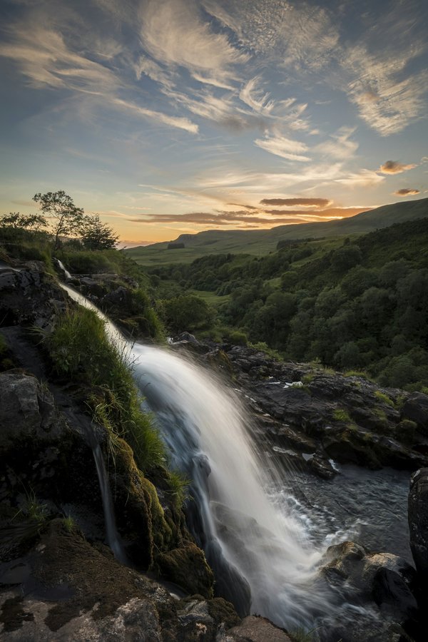 Où observer les loups dans leur habitat naturel en Roumanie ?